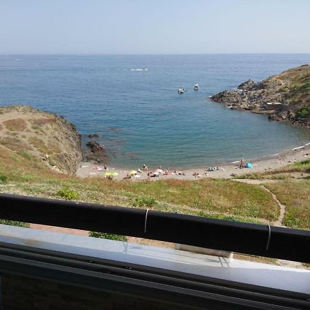 Portvendres Sea view Port Vendres Exterior foto